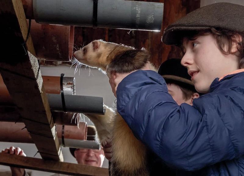 Ferret World