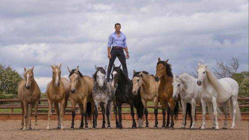 Atkinsons Action Horses